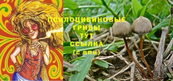 дурь Балабаново