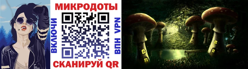Купить  Белая Калитва  Псилоцибиновые грибы Psilocybe 